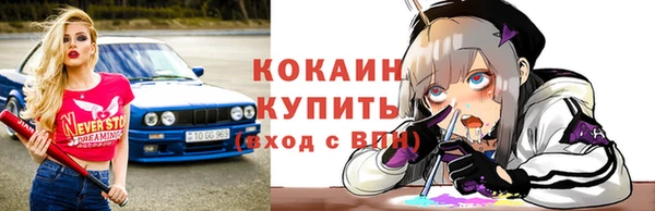 мяу мяу мука Абаза