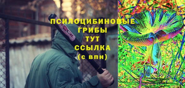 соль ск Абдулино