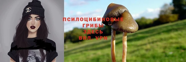 ПСИЛОЦИБИНОВЫЕ ГРИБЫ Наволоки