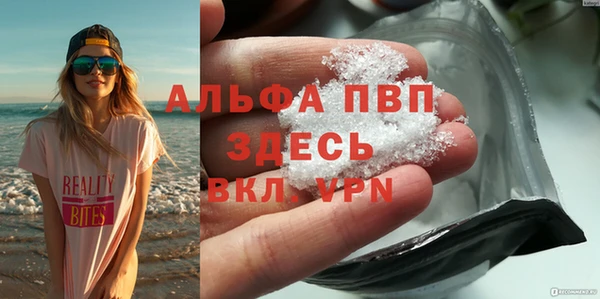 мяу мяу мука Абаза