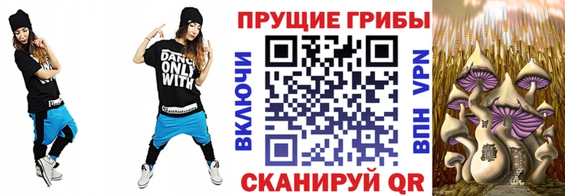 магазин продажи   Абакан  Галлюциногенные грибы прущие грибы 